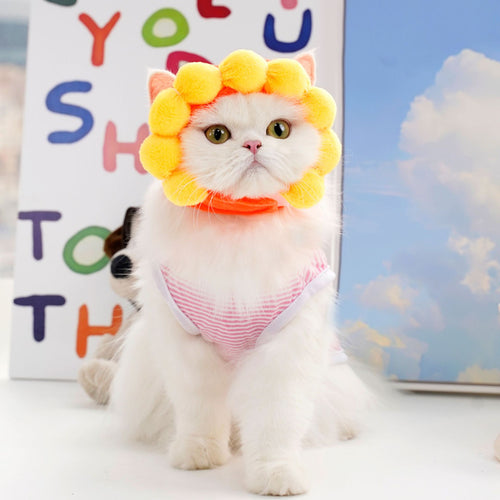 Cute Sunflower Dog And Cat Hat