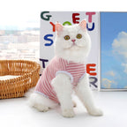 Solid Color Striped Cat Neuter Suit, Dog And Cat Clothes