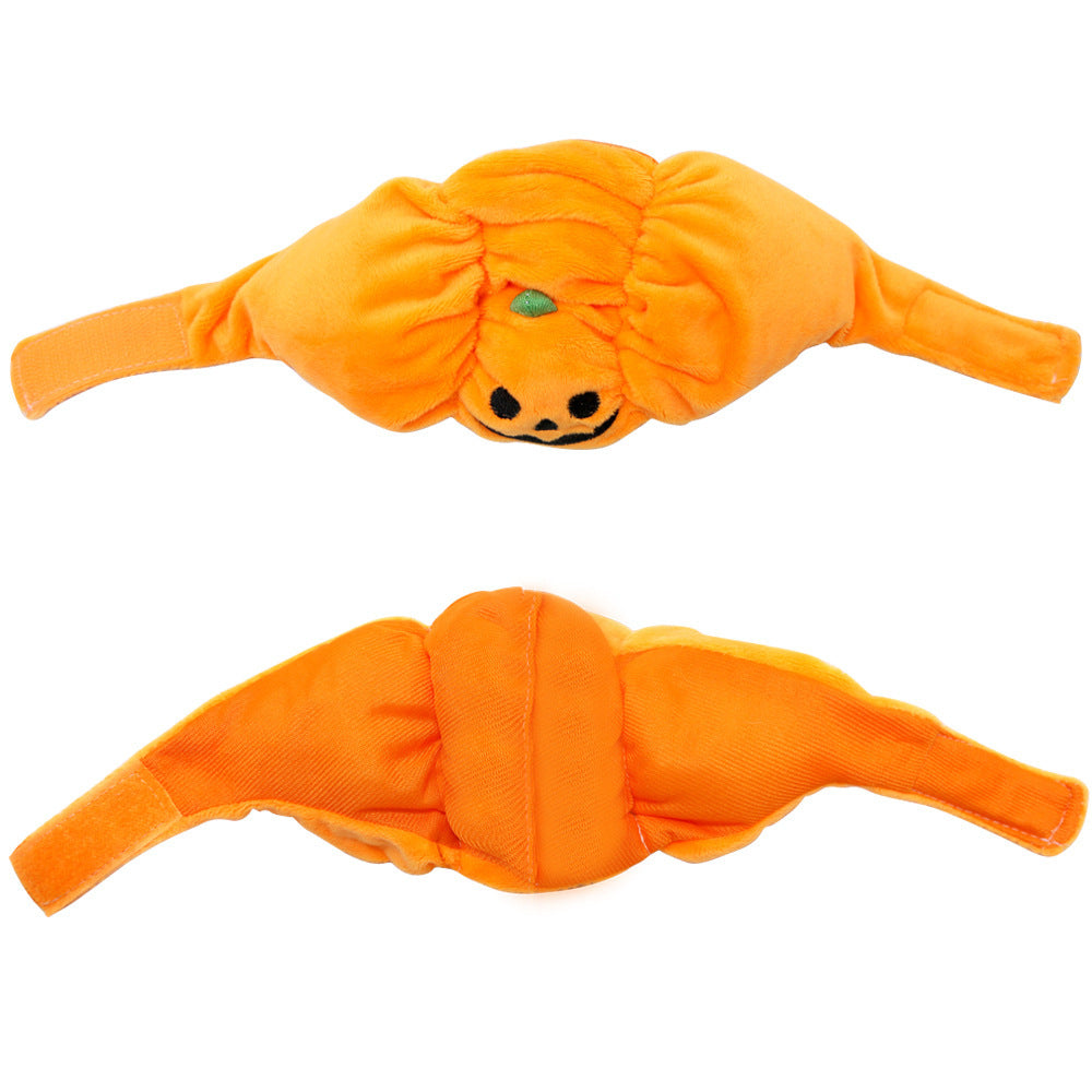 Halloween With Pumpkin Hats For Cats And Dogs
