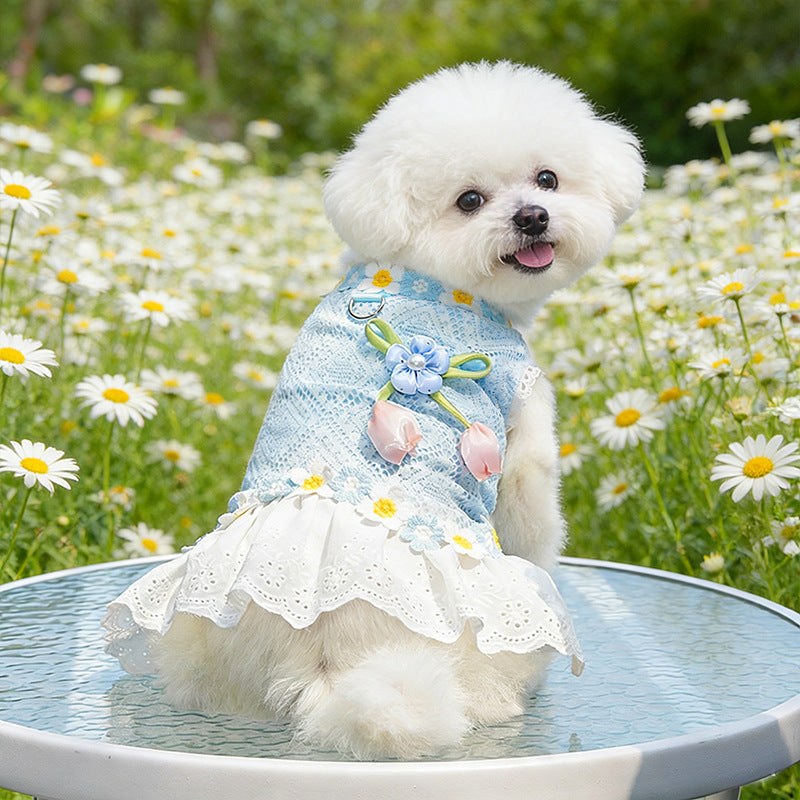 Fresh And Elegant Summer Thin Lace Dress For Pets