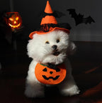 Halloween-Themed Pet Bibs With Elastic Drawstring