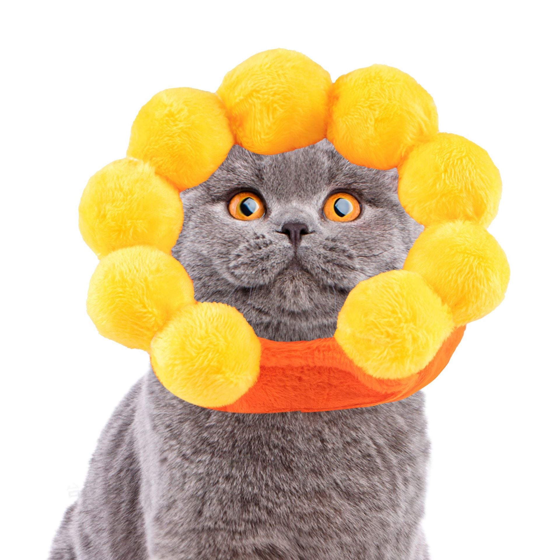 Cute Sunflower Dog And Cat Hat