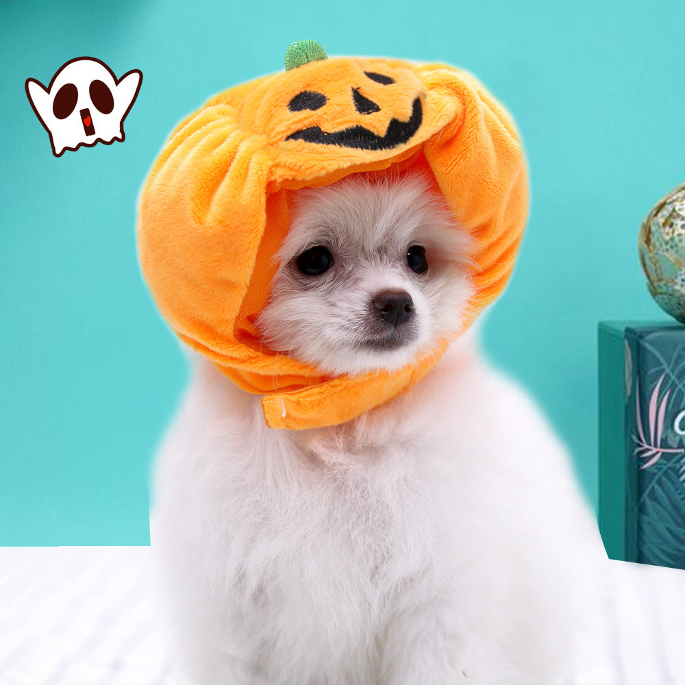 Halloween With Pumpkin Hats For Cats And Dogs