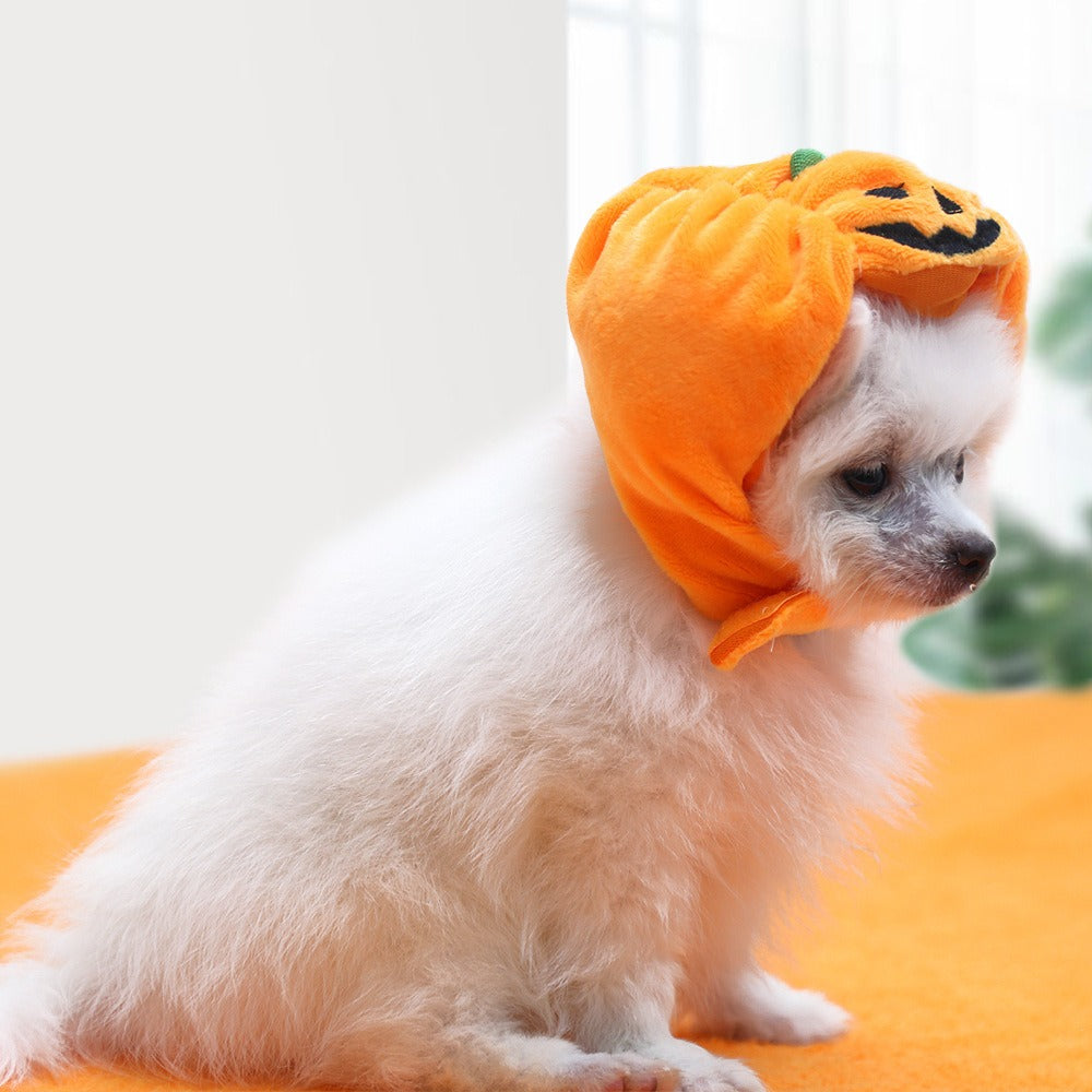 Halloween With Pumpkin Hats For Cats And Dogs
