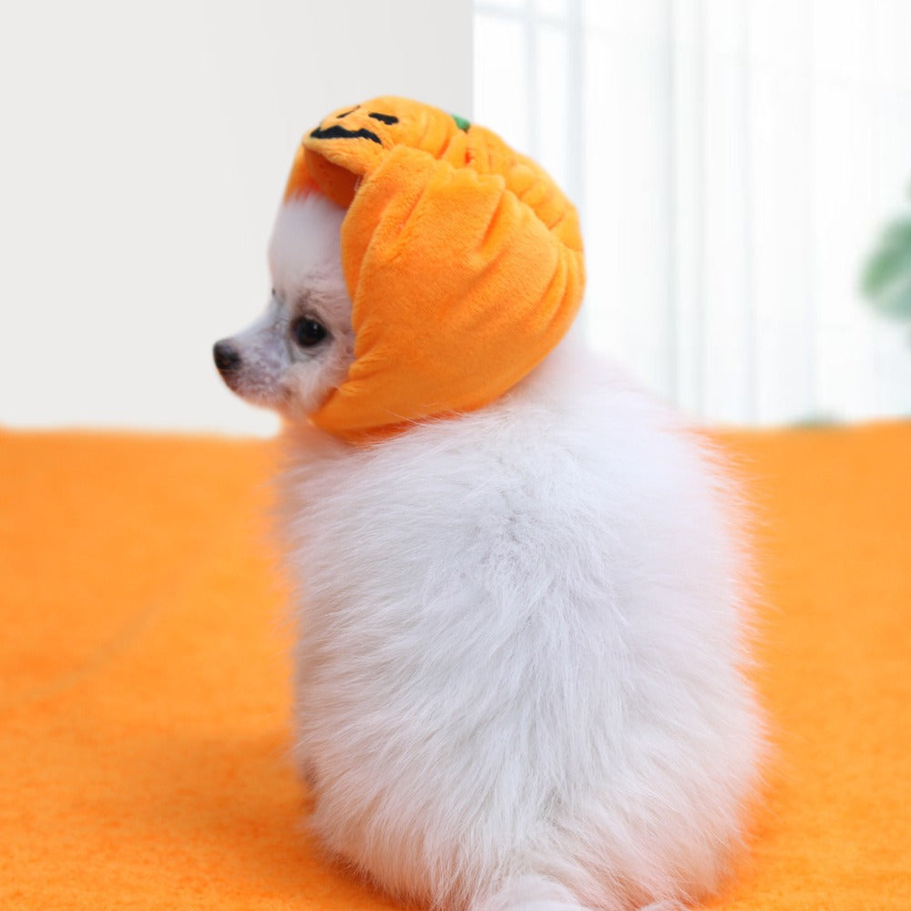 Halloween With Pumpkin Hats For Cats And Dogs