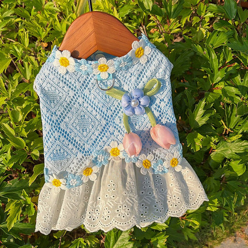 Fresh And Elegant Summer Thin Lace Dress For Pets