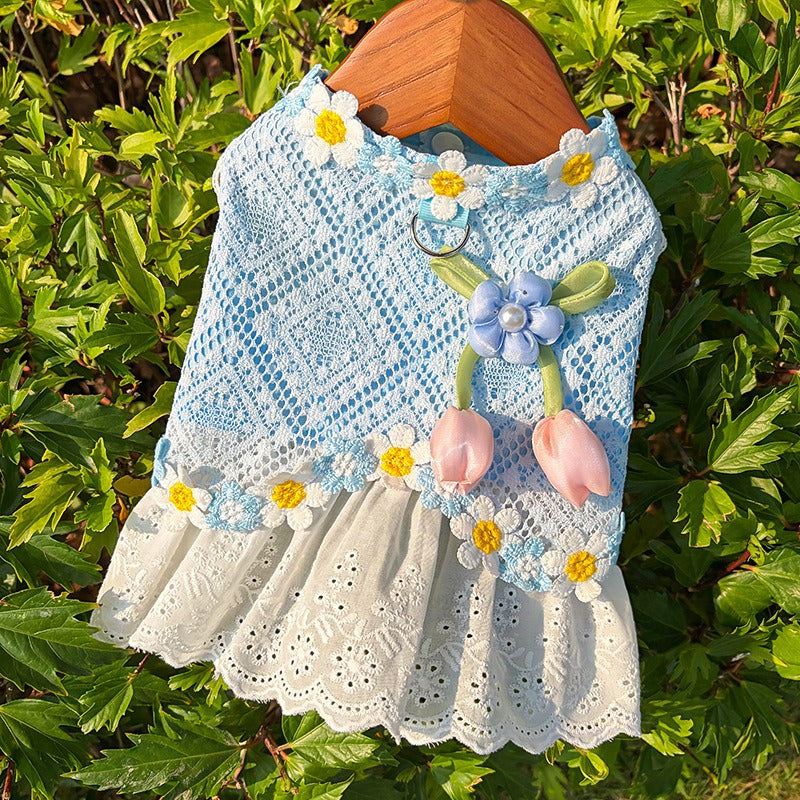 Fresh And Elegant Summer Thin Lace Dress For Pets