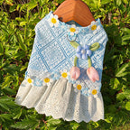 Fresh And Elegant Summer Thin Lace Dress For Pets