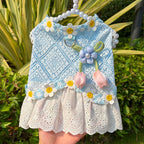 Fresh And Elegant Summer Thin Lace Dress For Pets