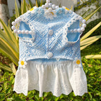 Fresh And Elegant Summer Thin Lace Dress For Pets
