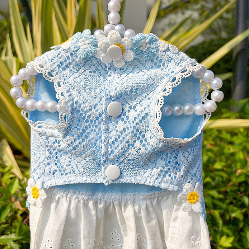 Fresh And Elegant Summer Thin Lace Dress For Pets