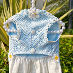Fresh And Elegant Summer Thin Lace Dress For Pets