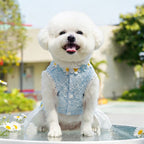 Fresh And Elegant Summer Thin Lace Dress For Pets