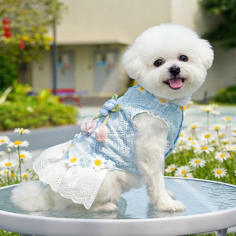 Fresh And Elegant Summer Thin Lace Dress For Pets