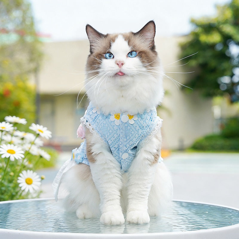 Fresh And Elegant Summer Thin Lace Dress For Pets