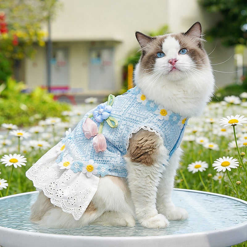 Fresh And Elegant Summer Thin Lace Dress For Pets